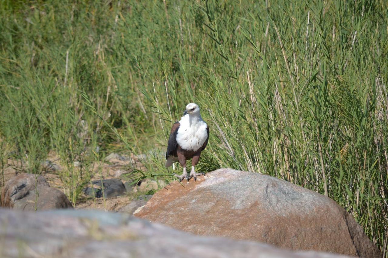 Athule Inn Marloth - Units Marloth Park Buitenkant foto