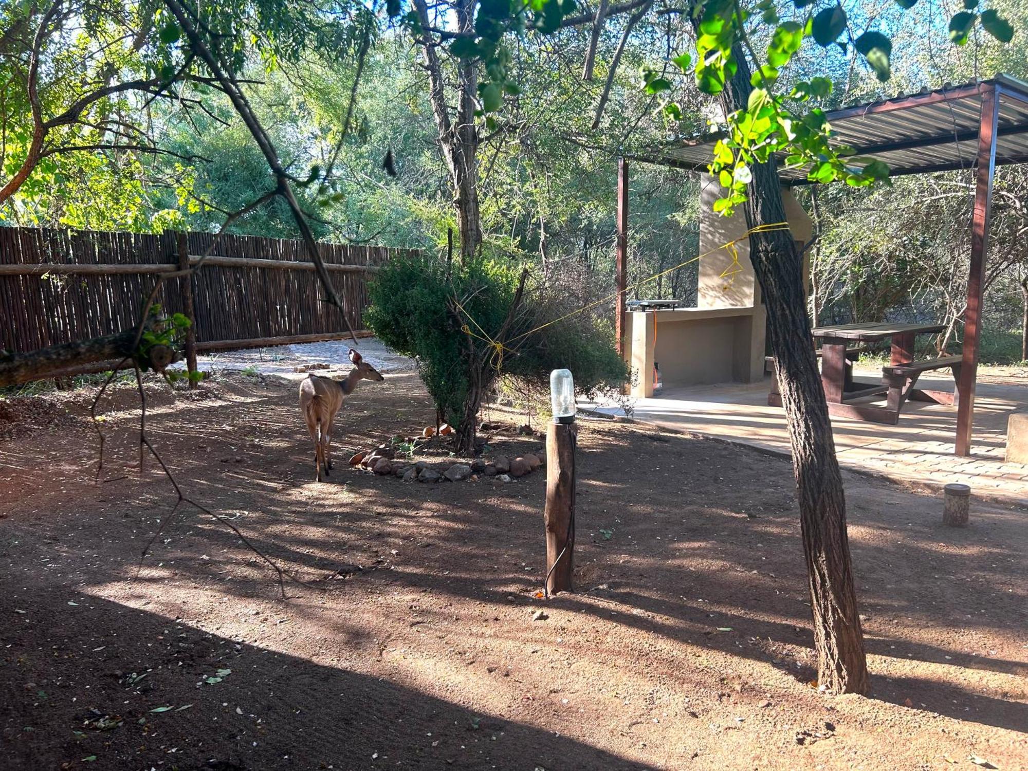 Athule Inn Marloth - Units Marloth Park Buitenkant foto